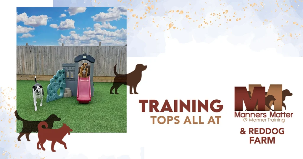 Manners Matter: Dog Training & Daycare and Reddog Farm
