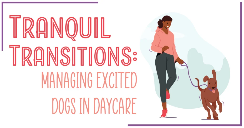 Tranquil Transitions: Managing Excited Dogs in Daycare