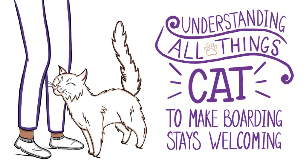 Understanding All Things CAT to Make Boarding Stays Welcoming