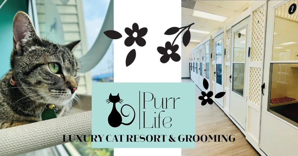Purr Life Luxury Cat Resort & Grooming