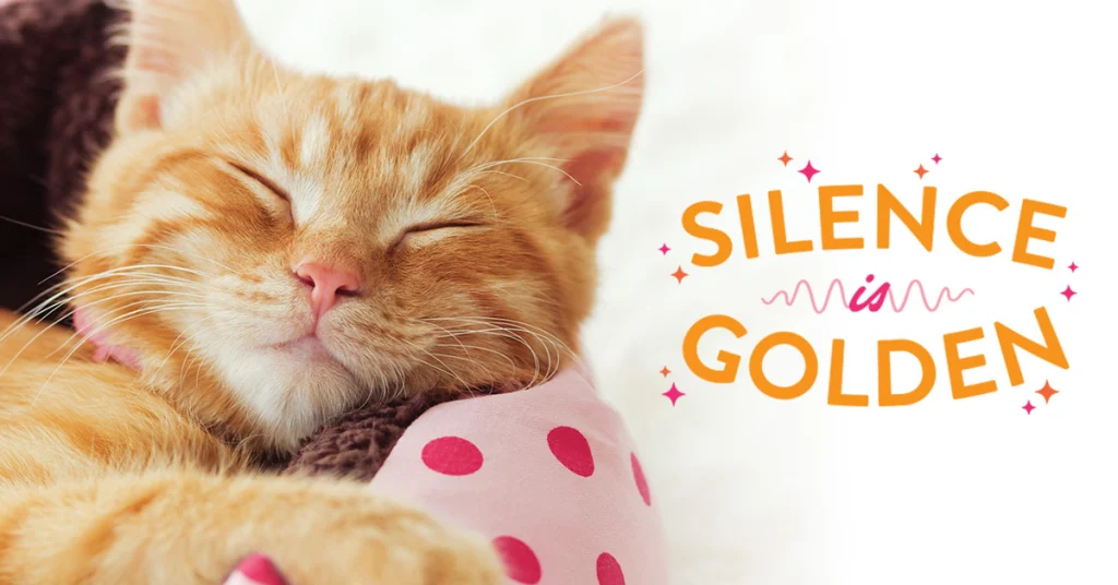 Silence is Golden: Strategies to Reduce Noise in the Cat Boarding Facility