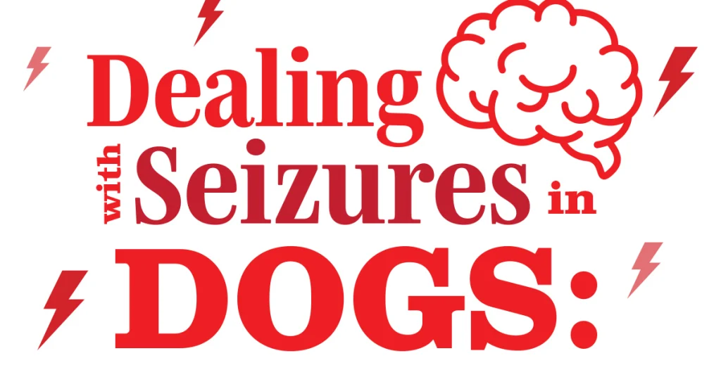 Dealing with Seizures in Dogs: Is Your Team Prepared?