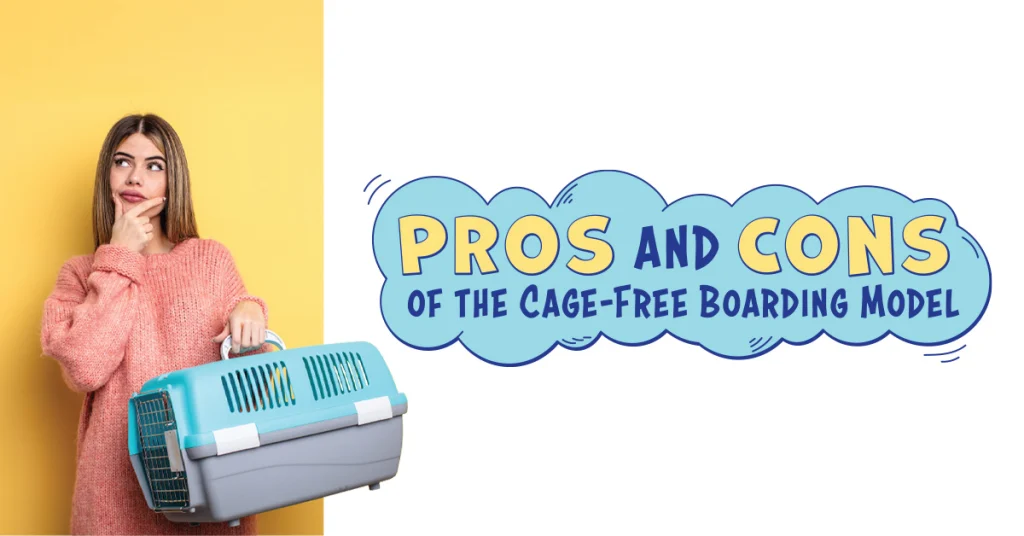 Pros and Cons of the Cage-Free Boarding Model Pet Care Facilities