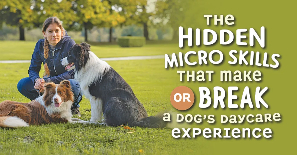 The Hidden Micro Skills That Make or Break a Dog’s Daycare Experience