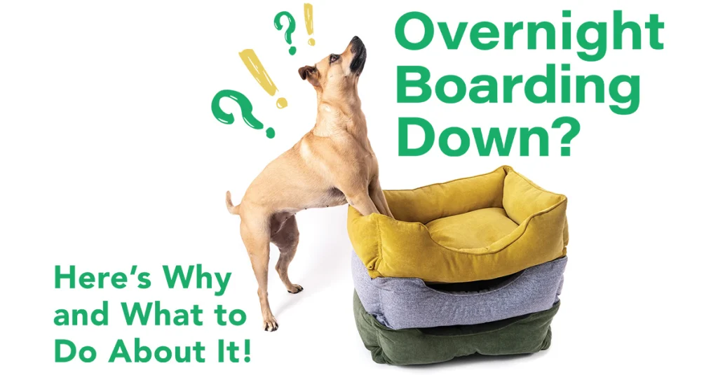Overnight Boarding Down? Here’s Why and What to Do About It
