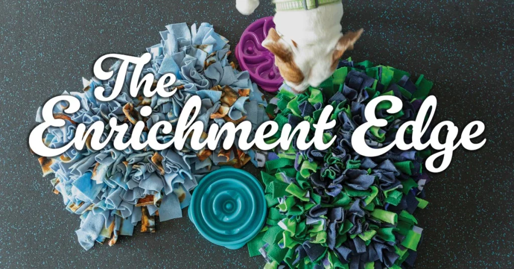 The Enrichment Edge: 5 Innovations That Elevate Ordinary Play