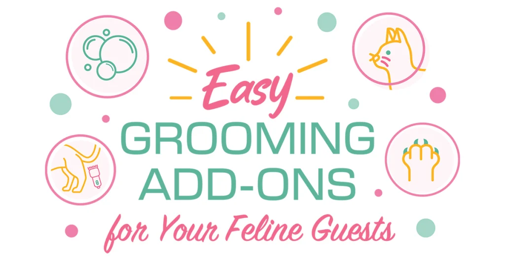 Easy Grooming Add-Ons for Your Feline Guests