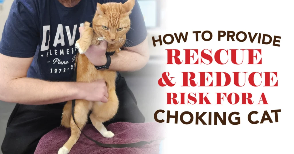 How to Provide Rescue & Reduce Risk for a Choking Cat