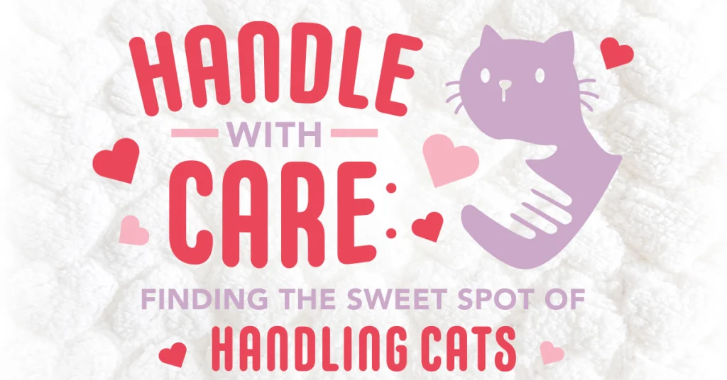 Handle with Care: Finding the Sweet Spot of Handling Cats
