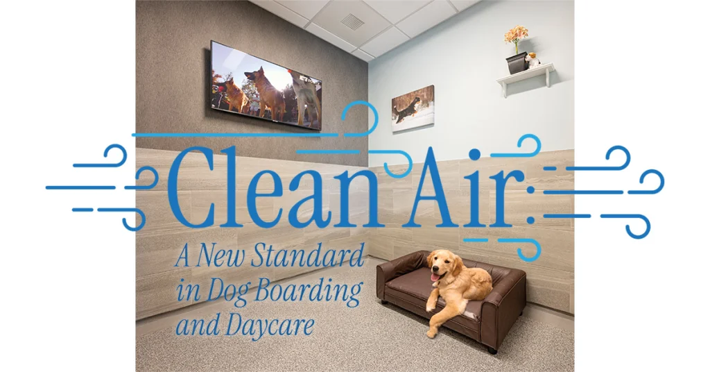 Clean Air: A New Standard in Dog Boarding and Daycare