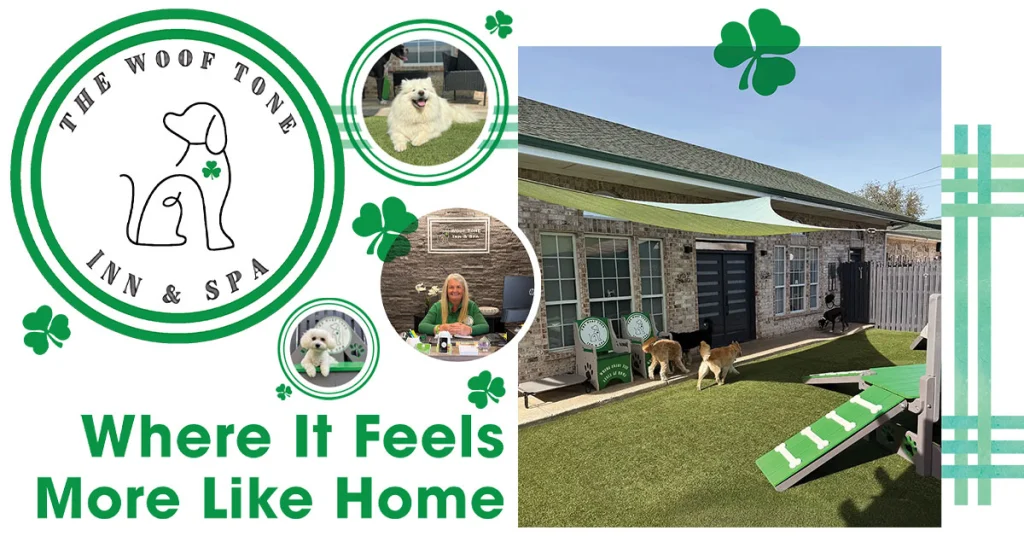 Woof Tone Inn & Spa: Where it Feels More Like Home