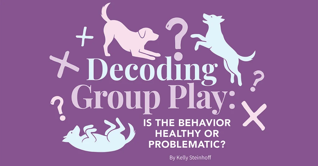 A purple graphic featuring dog silhouettes and text reading "Decoding Group Play: Is the Behavior Healthy or Problematic?".