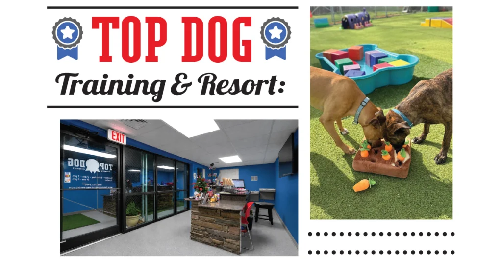 Top Dog Training & Resort: A One-of-a-Kind Learning Oasis