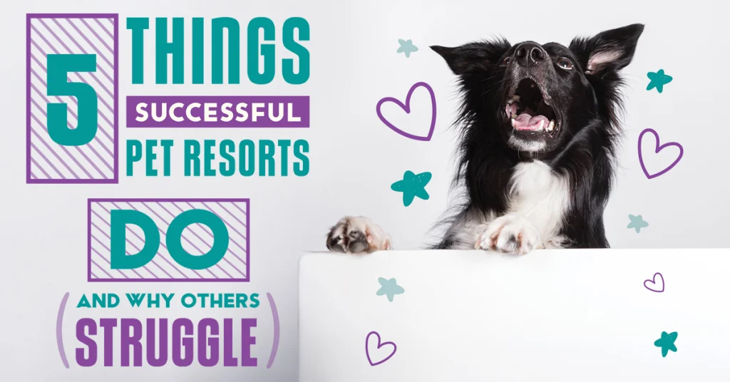 5 Things Successful Pet Resorts Do and Why Others Struggle
